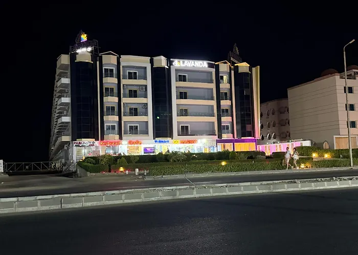 Lavanda Hurghada